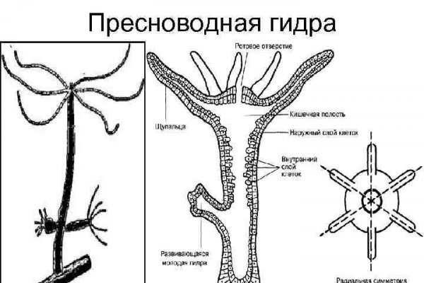 Кракен даркнет только через торг